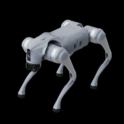 Promotion/ Sell From Stock/ AI+ ROBOT DOG